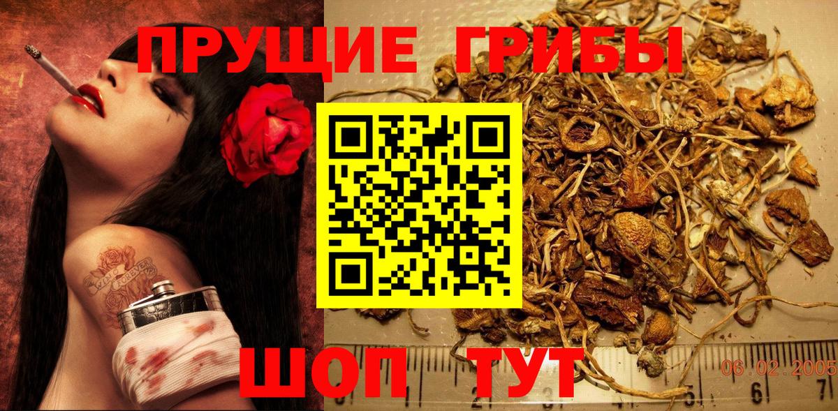 Псилоцибиновые грибы ЛСД Зерноград